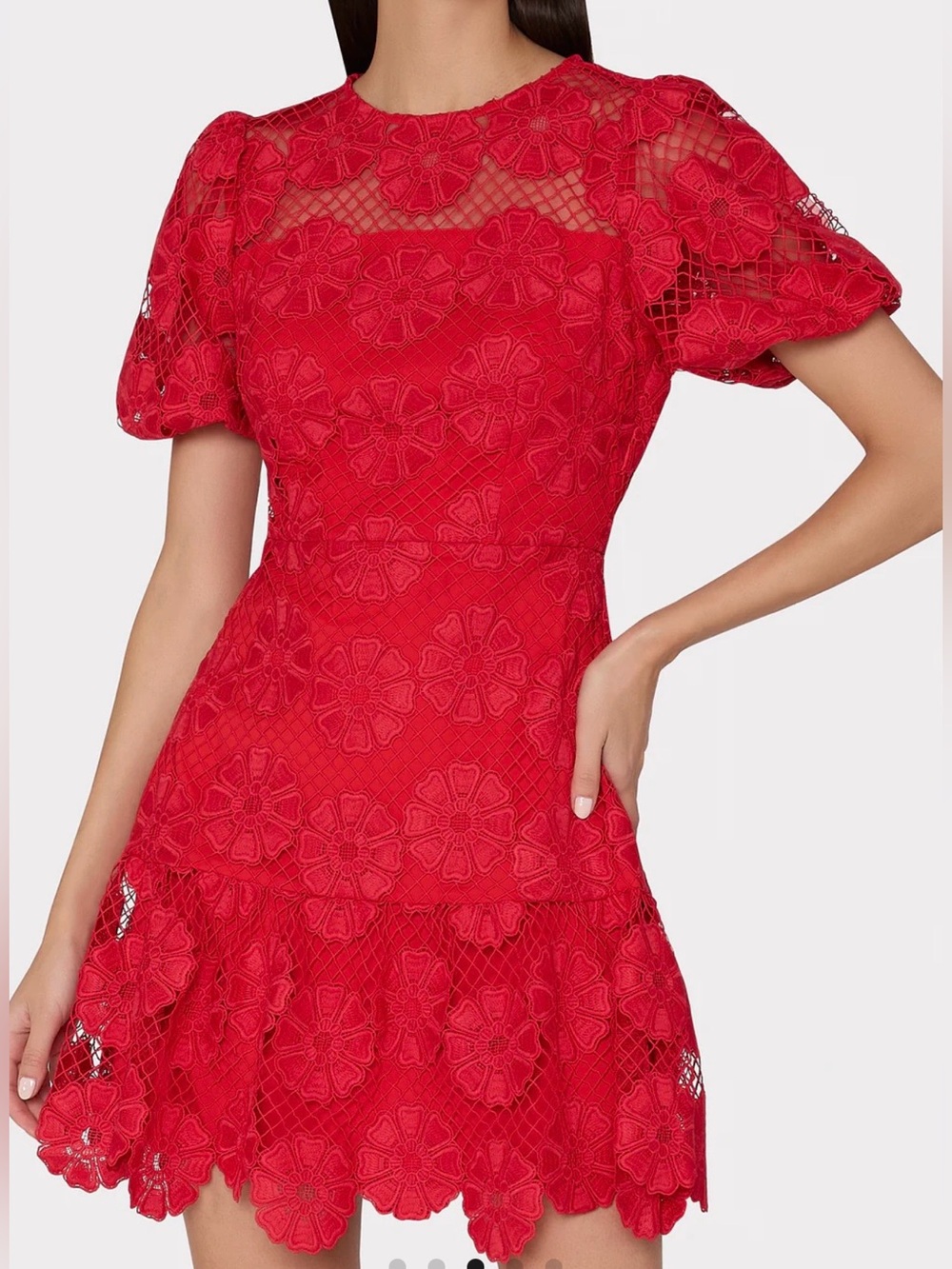 Milly  Red Yasmin Gerber Daisy Floral Embroidered Dress NWT Size 12